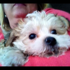 Meet your Posher, Jana